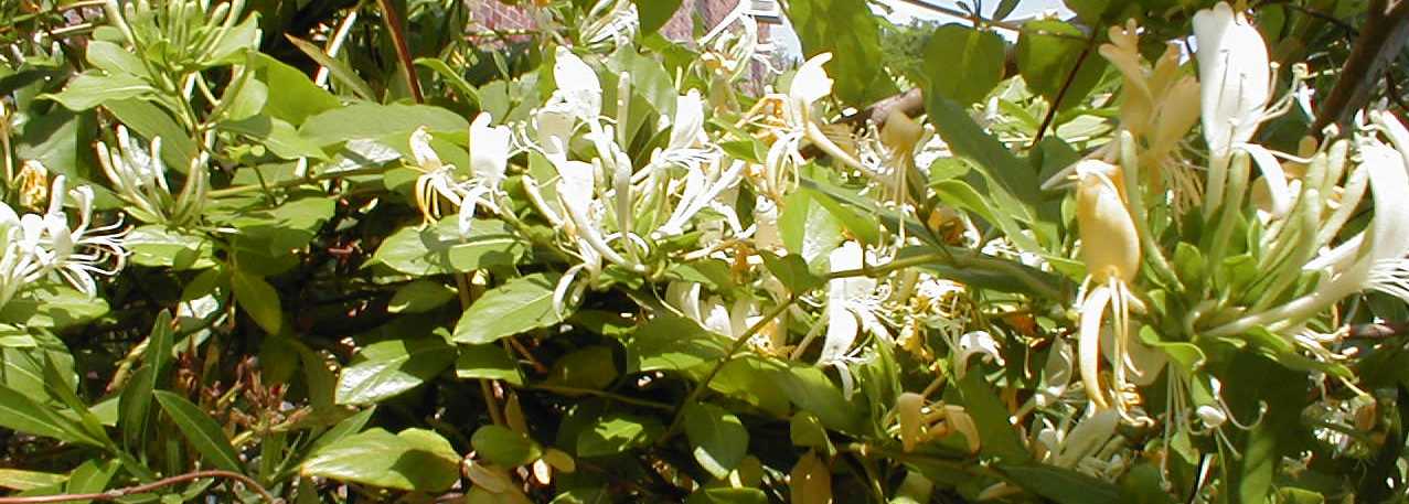 April112001c.JPG
