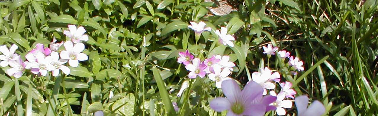 April112001f1.JPG