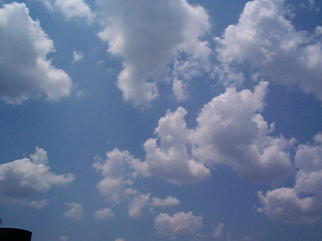Dcp00064.jpg