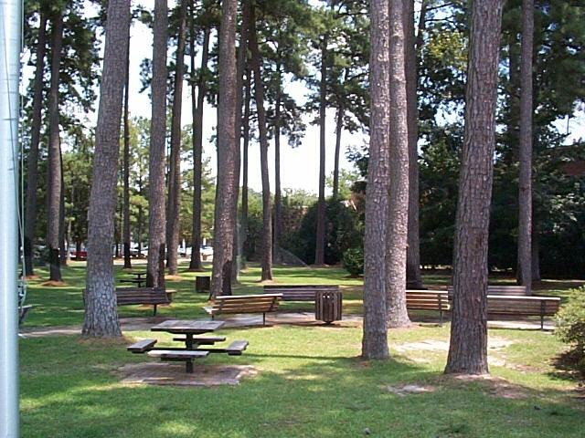 Dcp00073.jpg