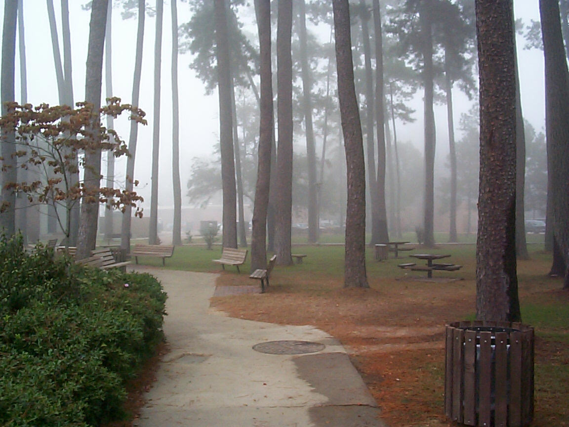 Dcp00200.jpg