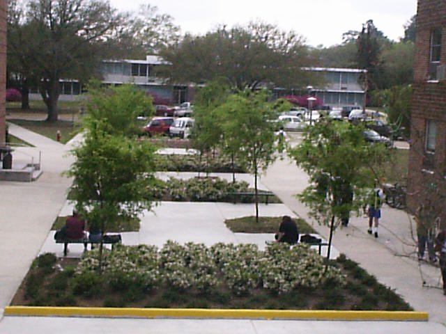 circle5.jpg