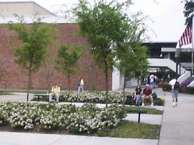 circle5.jpg