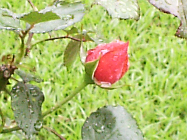 march004.jpg